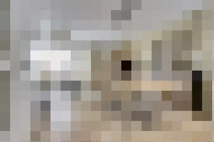 Amerikalaan 26 Drunen thumbnail 12
