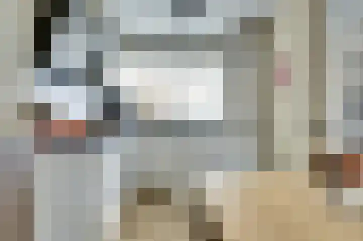 Amerikalaan 26 Drunen thumbnail 13