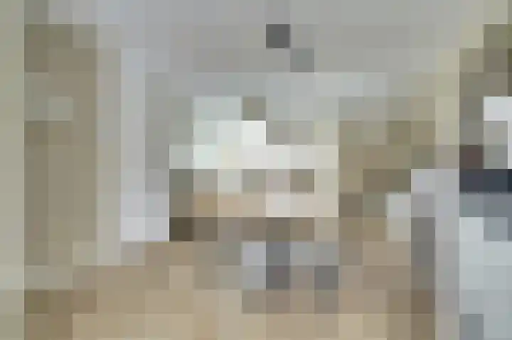Amerikalaan 26 Drunen thumbnail 14