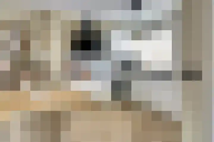 Amerikalaan 26 Drunen thumbnail 16