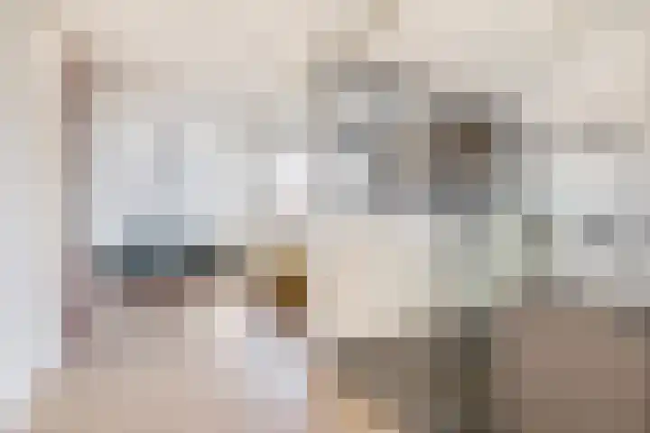 Amerikalaan 26 Drunen thumbnail 18