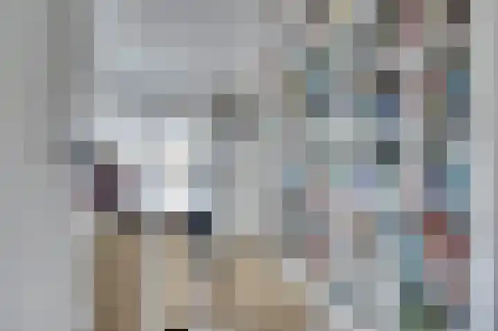 Amerikalaan 26 Drunen thumbnail 22
