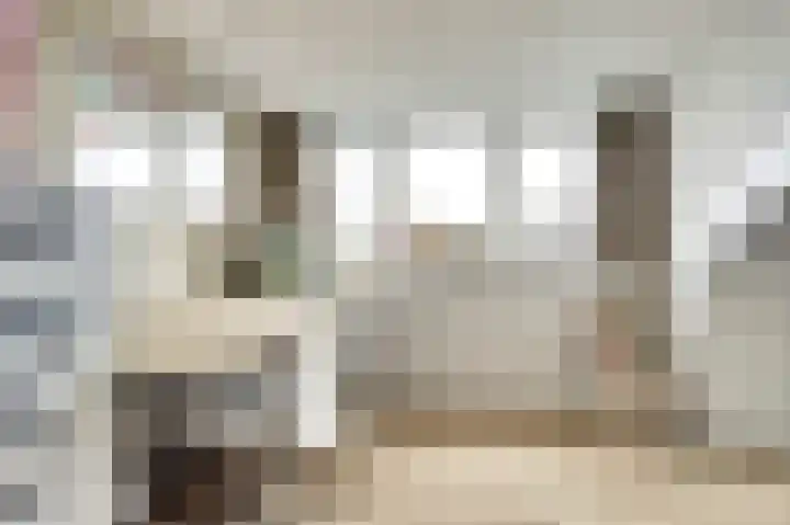 Amerikalaan 26 Drunen thumbnail 24