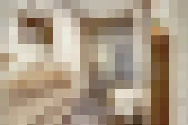 Amerikalaan 26 Drunen thumbnail 27