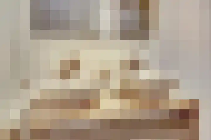 Amerikalaan 26 Drunen thumbnail 28