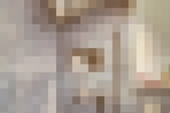 Amerikalaan 26 Drunen thumbnail 29