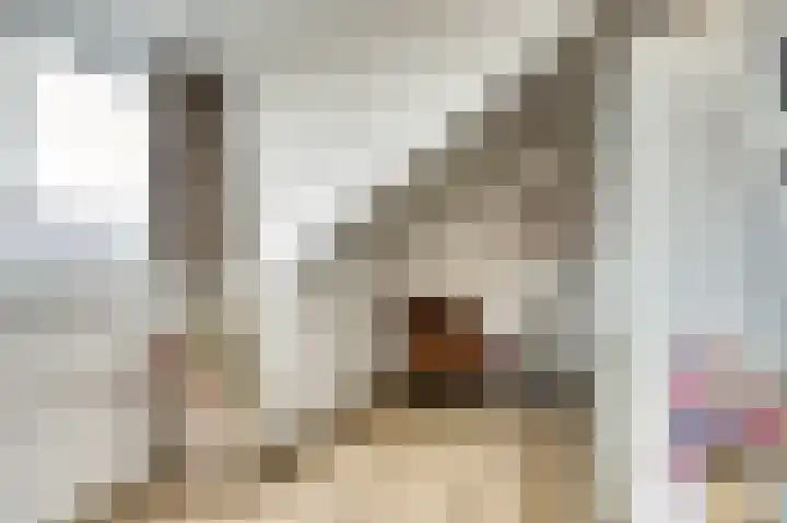 Amerikalaan 26 Drunen thumbnail 31