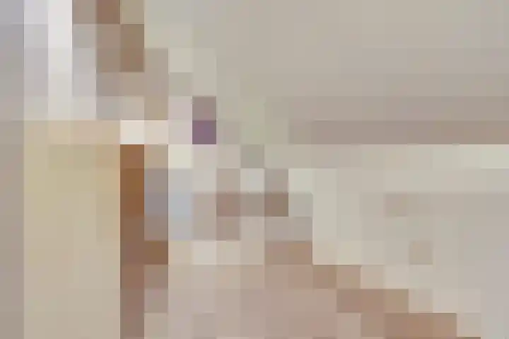 Amerikalaan 26 Drunen thumbnail 33