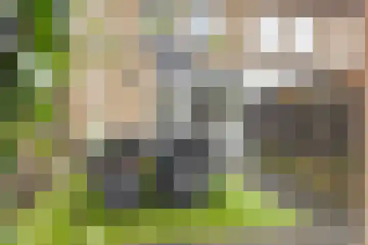 Amerikalaan 26 Drunen thumbnail 35