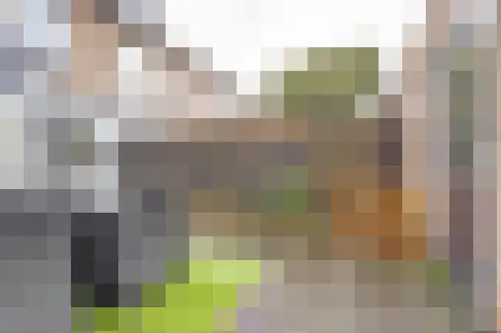 Amerikalaan 26 Drunen thumbnail 38