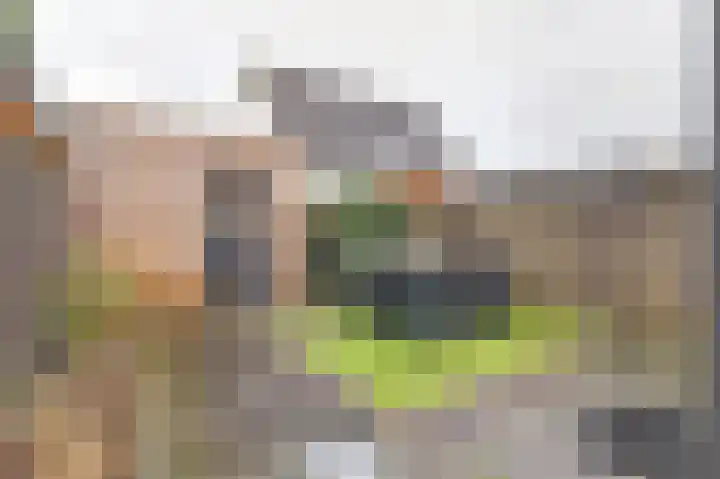 Amerikalaan 26 Drunen thumbnail 39