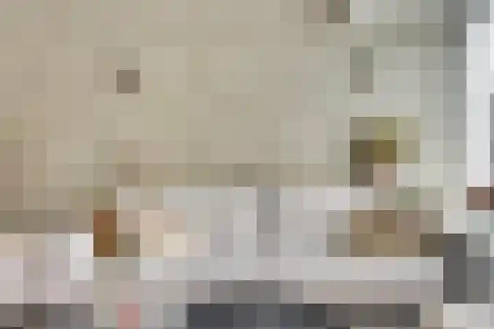 Amerikalaan 26 Drunen thumbnail 5