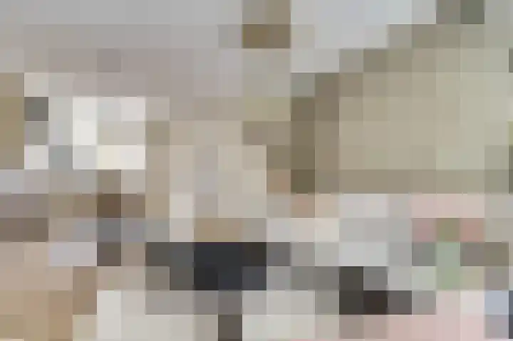 Amerikalaan 26 Drunen thumbnail 6