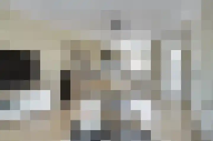 Amerikalaan 26 Drunen thumbnail 7