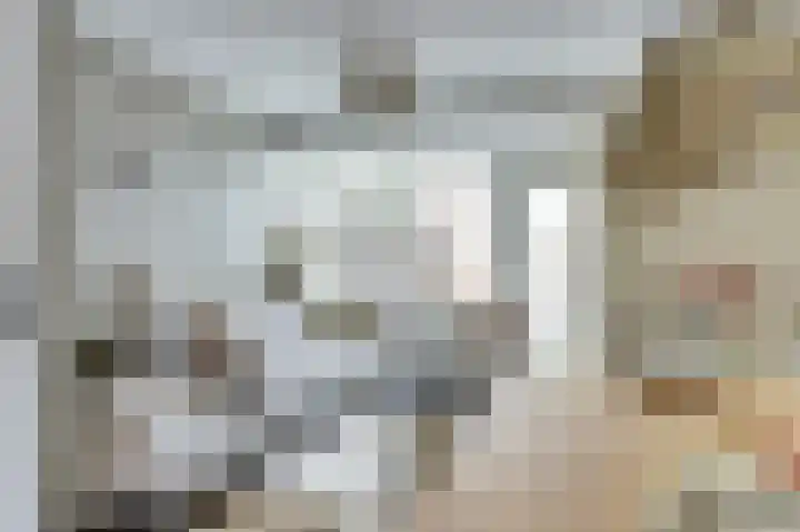 Amerikalaan 26 Drunen thumbnail 8