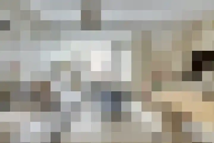 Amerikalaan 26 Drunen thumbnail 9