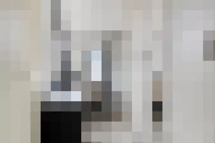 Amerikalaan 30 Drunen thumbnail 16