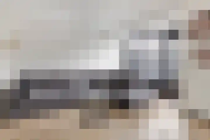 Amerikalaan 30 Drunen foto 3