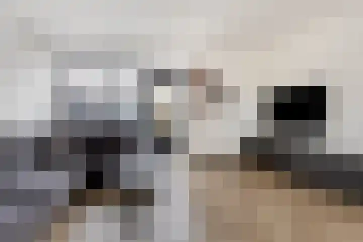 Amerikalaan 30 Drunen thumbnail 6