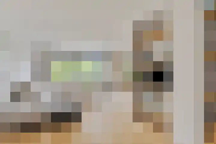 Amerikalaan 30 IJsselstein thumbnail 11