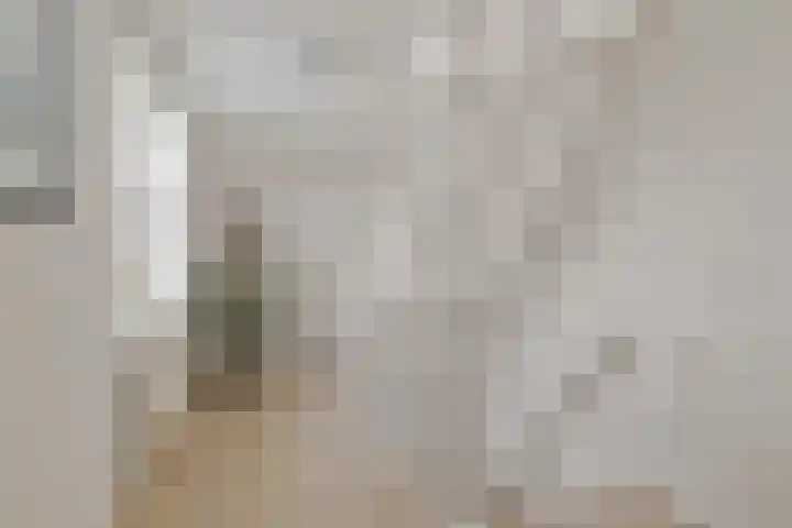 Amerikalaan 30 IJsselstein thumbnail 18