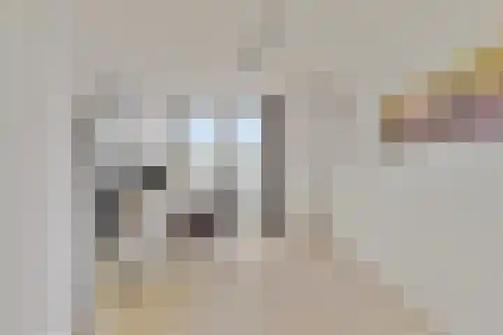 Amerikalaan 30 IJsselstein thumbnail 28