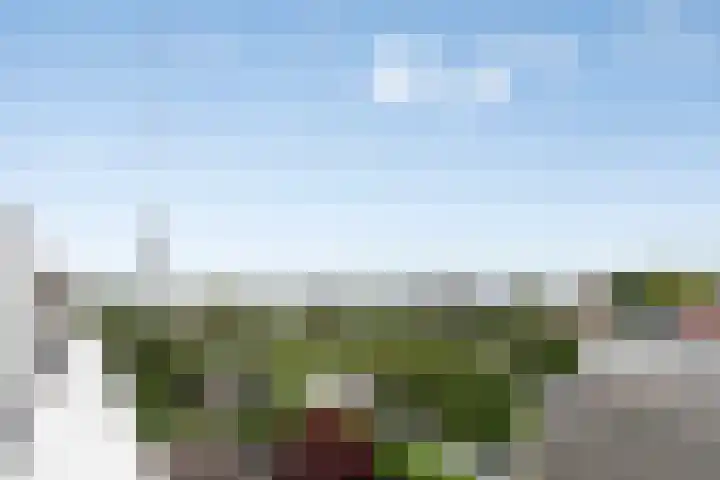 Amerikalaan 30 IJsselstein thumbnail 31