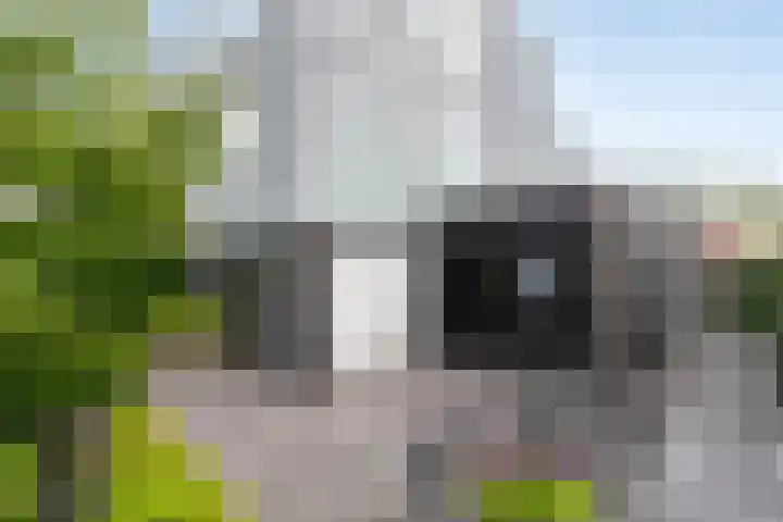 Amerikalaan 30 IJsselstein thumbnail 32
