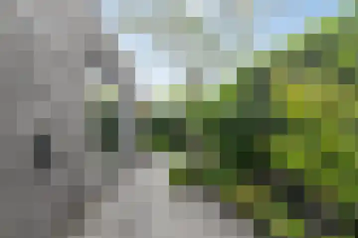 Amerikalaan 30 IJsselstein thumbnail 35