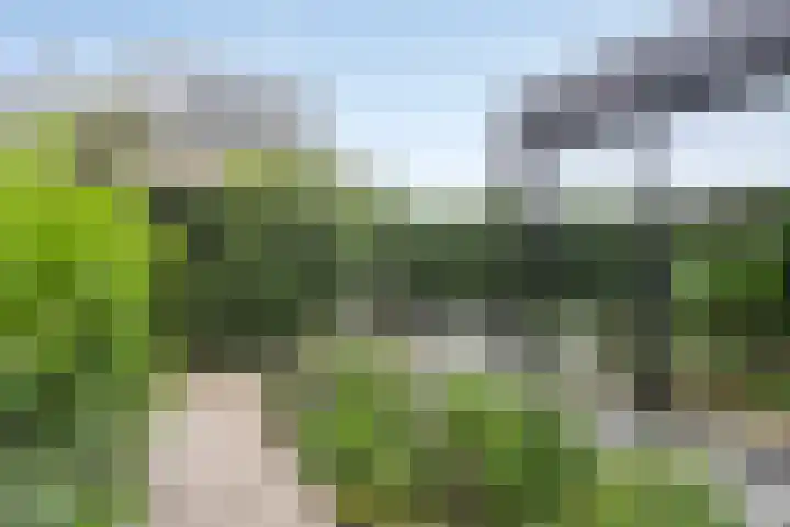 Amerikalaan 30 IJsselstein thumbnail 39