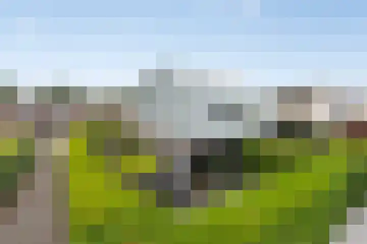 Amerikalaan 30 IJsselstein thumbnail 40
