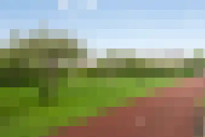 Amerikalaan 30 IJsselstein thumbnail 45