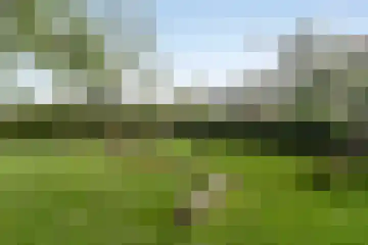 Amerikalaan 30 IJsselstein thumbnail 47
