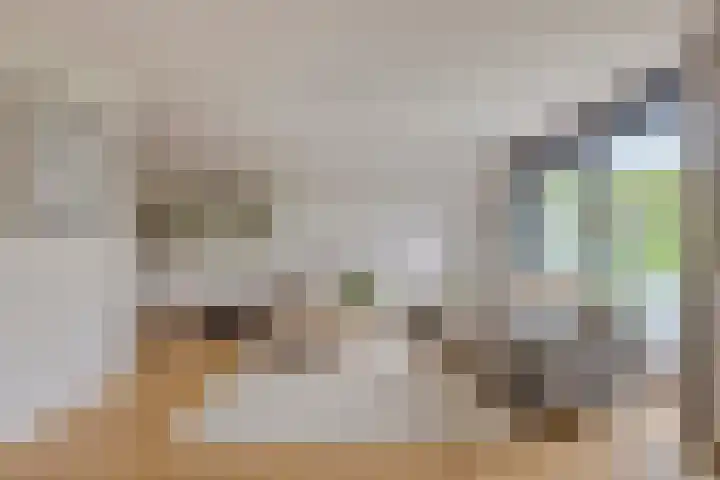 Amerikalaan 30 IJsselstein thumbnail 8