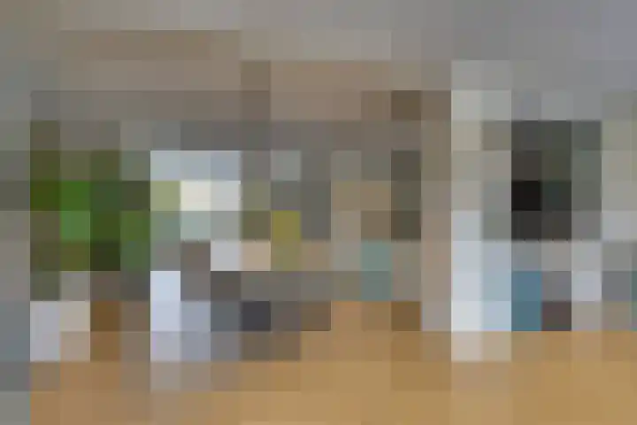 Amerikalaan 30 Son en Breugel thumbnail 10