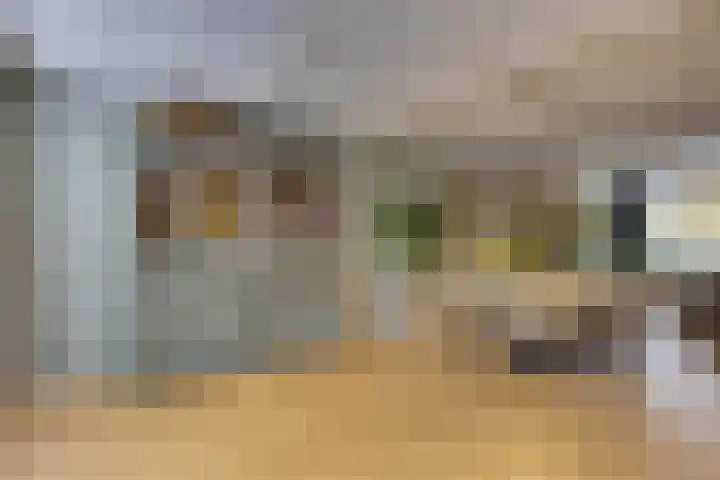 Amerikalaan 30 Son en Breugel thumbnail 11