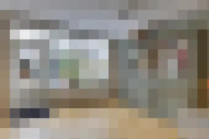 Amerikalaan 30 Son en Breugel thumbnail 12