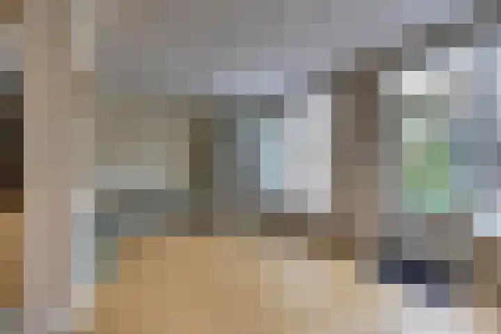 Amerikalaan 30 Son en Breugel thumbnail 13
