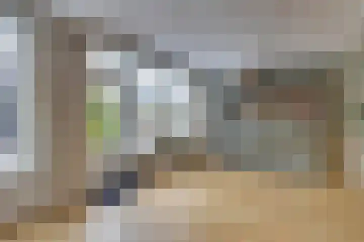 Amerikalaan 30 Son en Breugel thumbnail 14