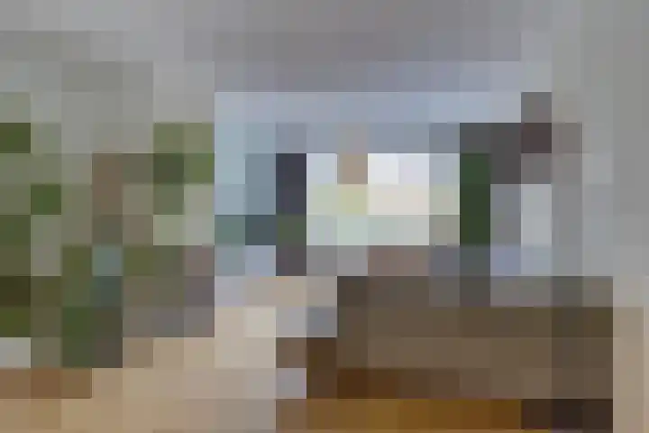 Amerikalaan 30 Son en Breugel thumbnail 15