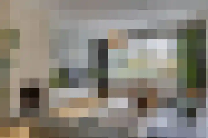 Amerikalaan 30 Son en Breugel thumbnail 16