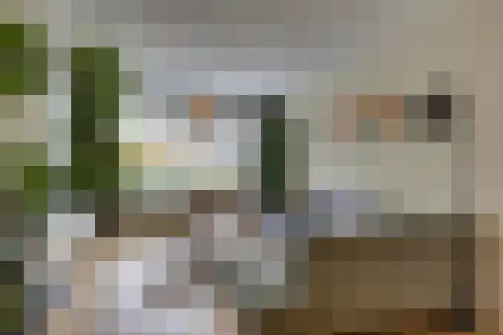 Amerikalaan 30 Son en Breugel thumbnail 17