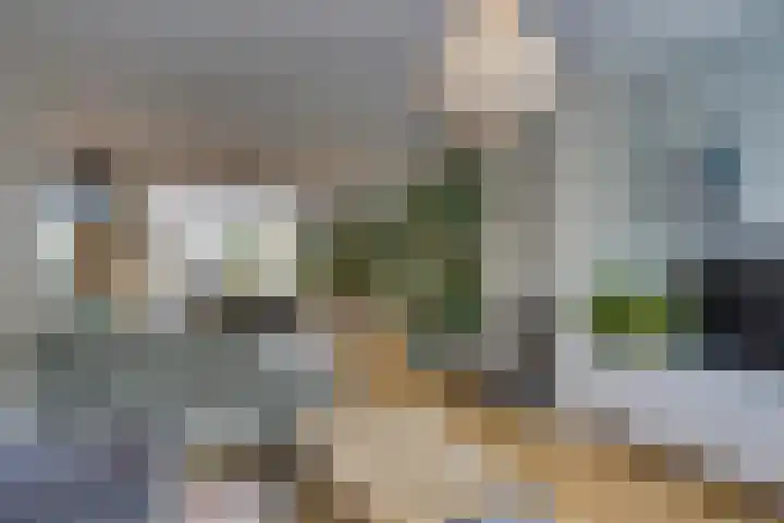Amerikalaan 30 Son en Breugel thumbnail 18