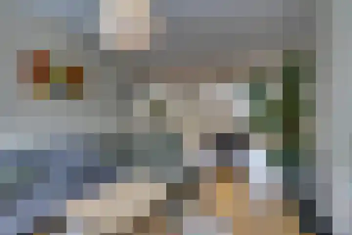 Amerikalaan 30 Son en Breugel thumbnail 19