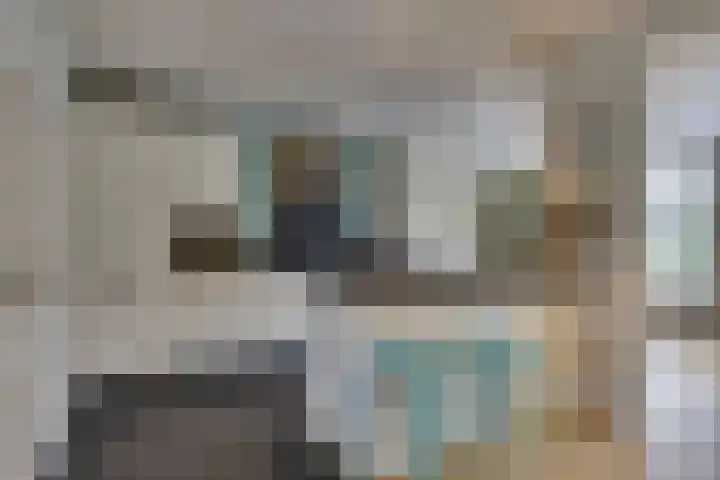 Amerikalaan 30 Son en Breugel thumbnail 20