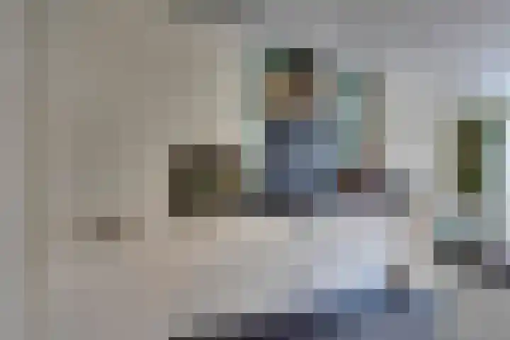 Amerikalaan 30 Son en Breugel thumbnail 21