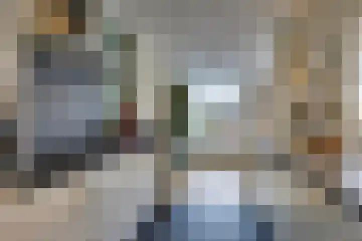 Amerikalaan 30 Son en Breugel thumbnail 22