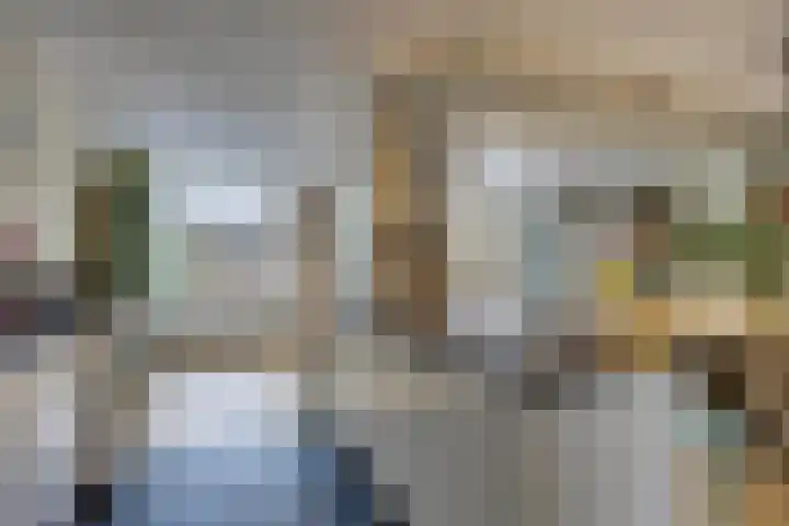 Amerikalaan 30 Son en Breugel thumbnail 23