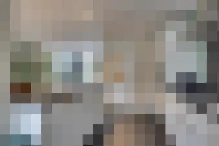 Amerikalaan 30 Son en Breugel thumbnail 24