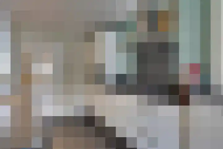 Amerikalaan 30 Son en Breugel thumbnail 25